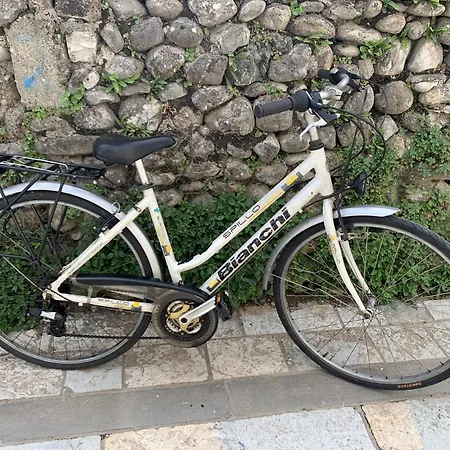 דירה Nest שקודר