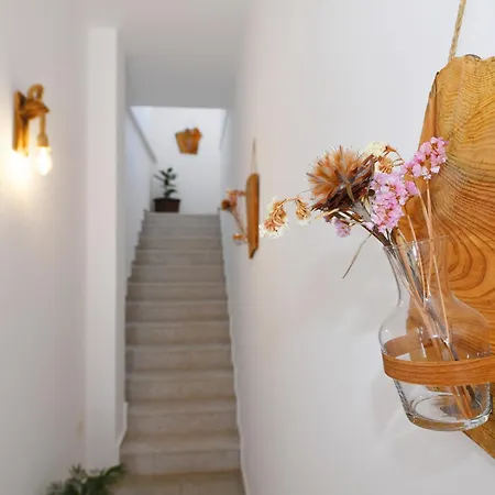Nest Apartment Shkoder